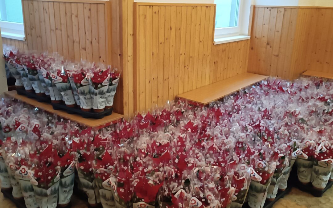 Naše škola opět pomohla dobré věci